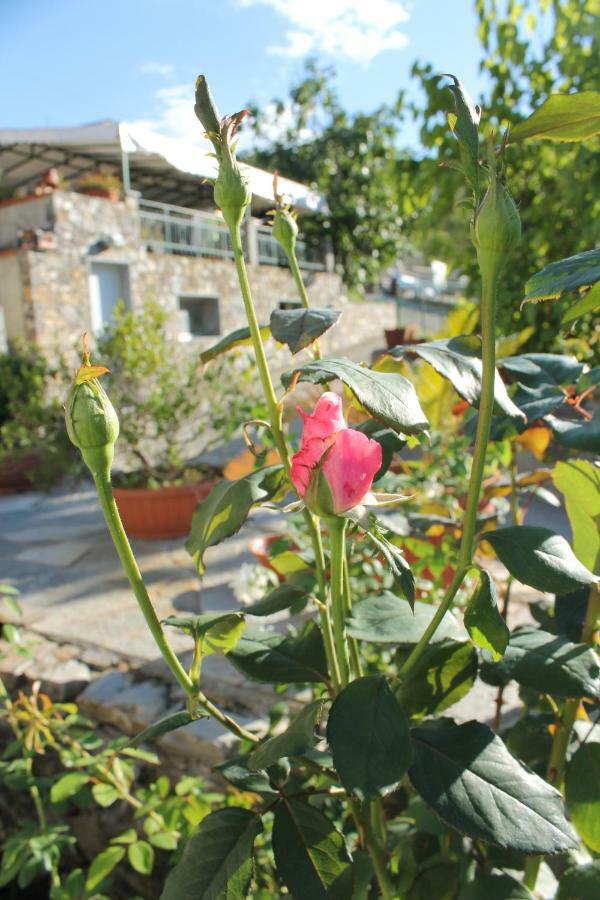 B&B Ca Dei Fre Génova Exterior foto